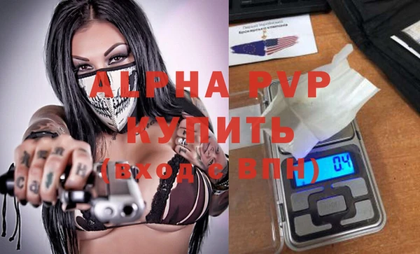 a pvp Белокуриха